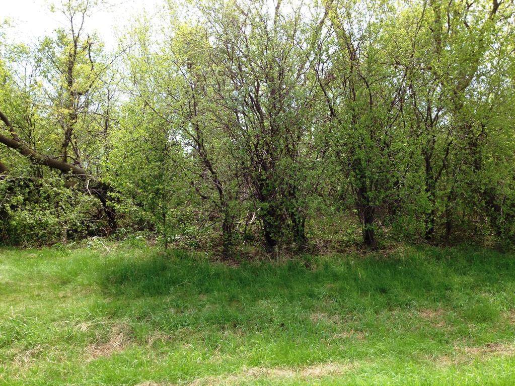 40519 Pine View Drive - Photo 1