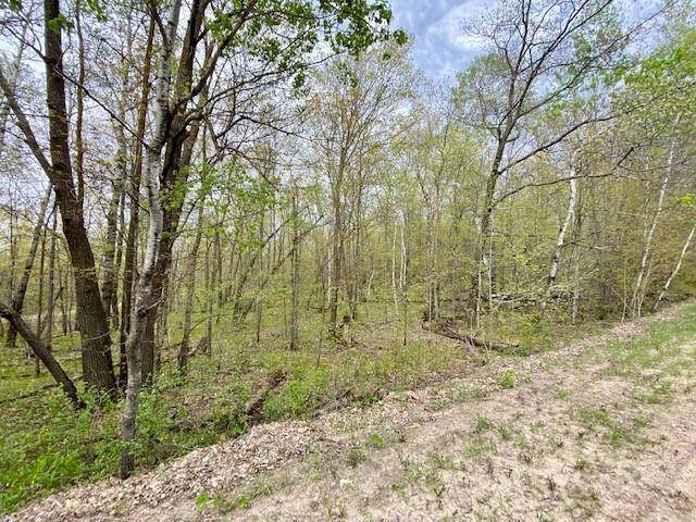 TBD Cherry Lake Rd - Photo 1