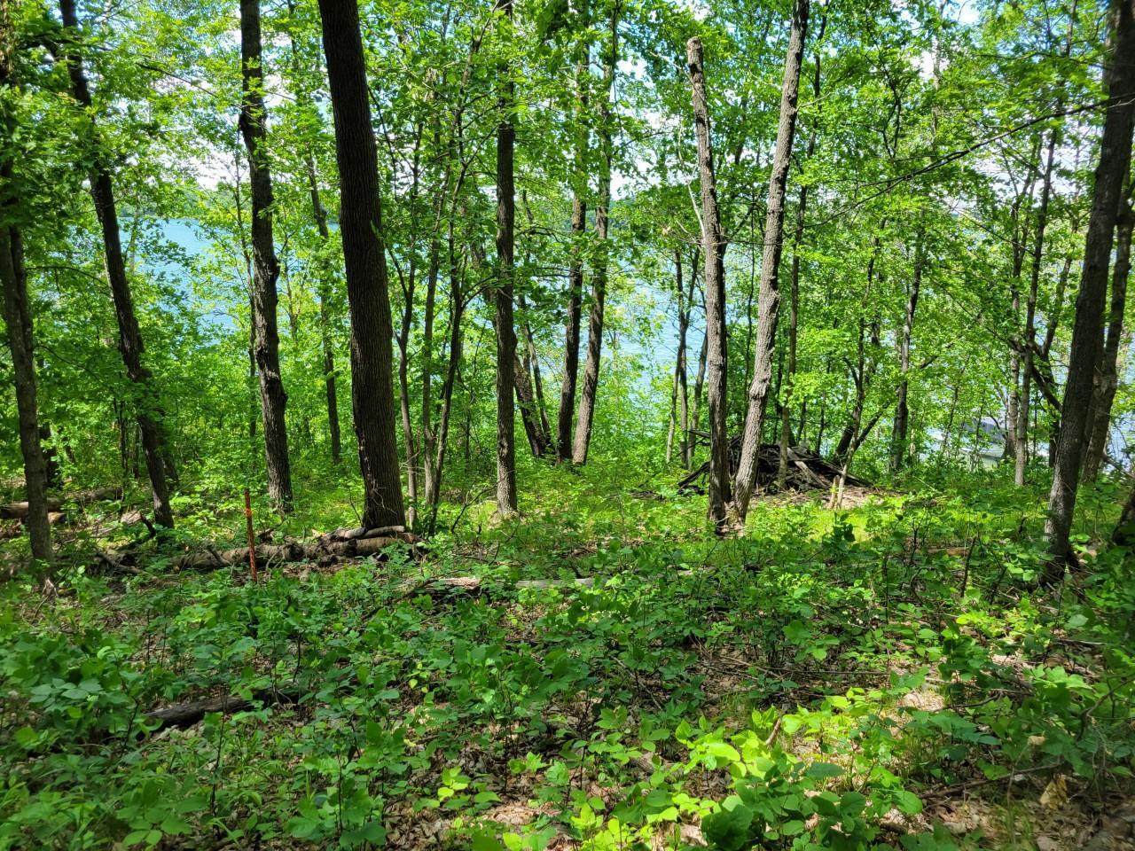 TBD East Wimer Lake Road - Photo 1