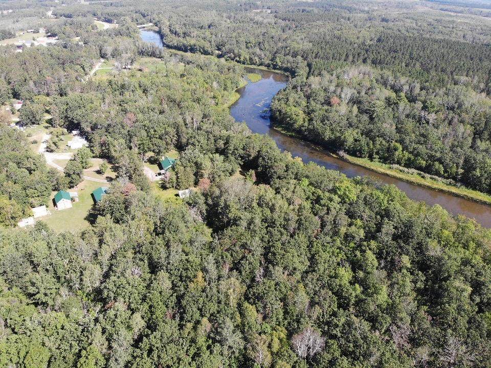 28127 Pinetree Avenue - Photo 1