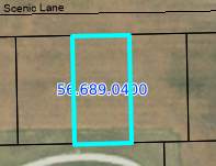2311 Scenic Lane - Photo 1