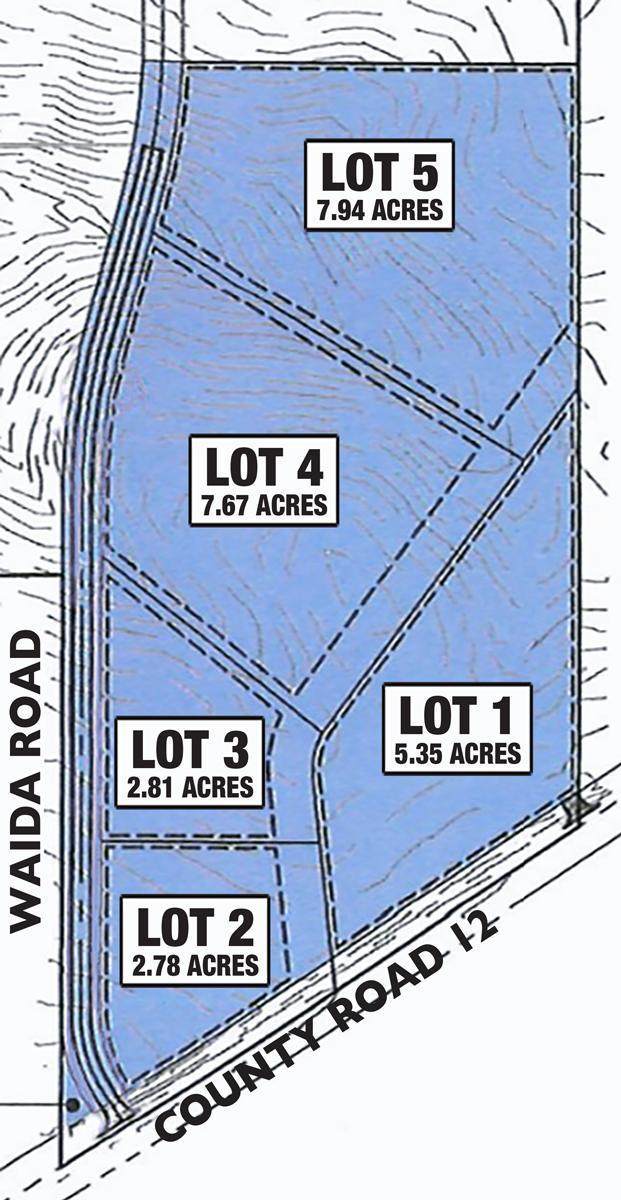 TBD Lot 4 Waida Road - Photo 1