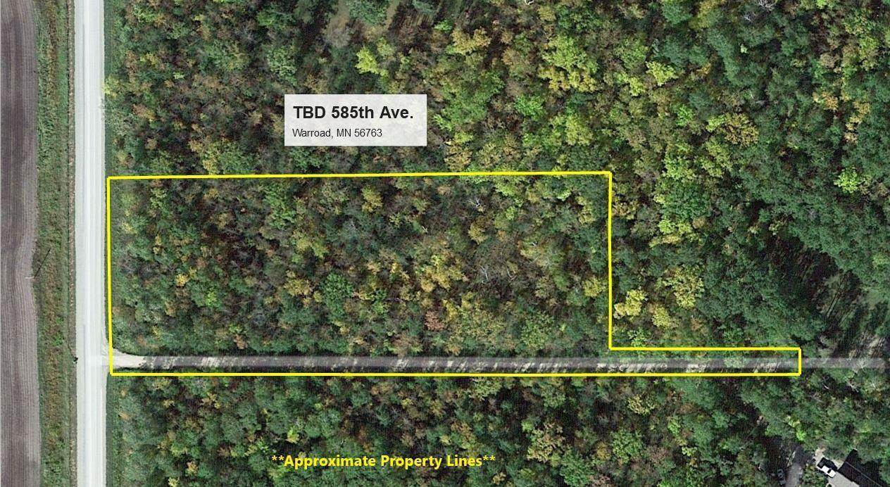 TBD 585th Avenue - Photo 1