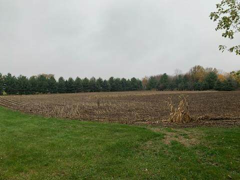 TBD Harrison Avenue - Photo 1