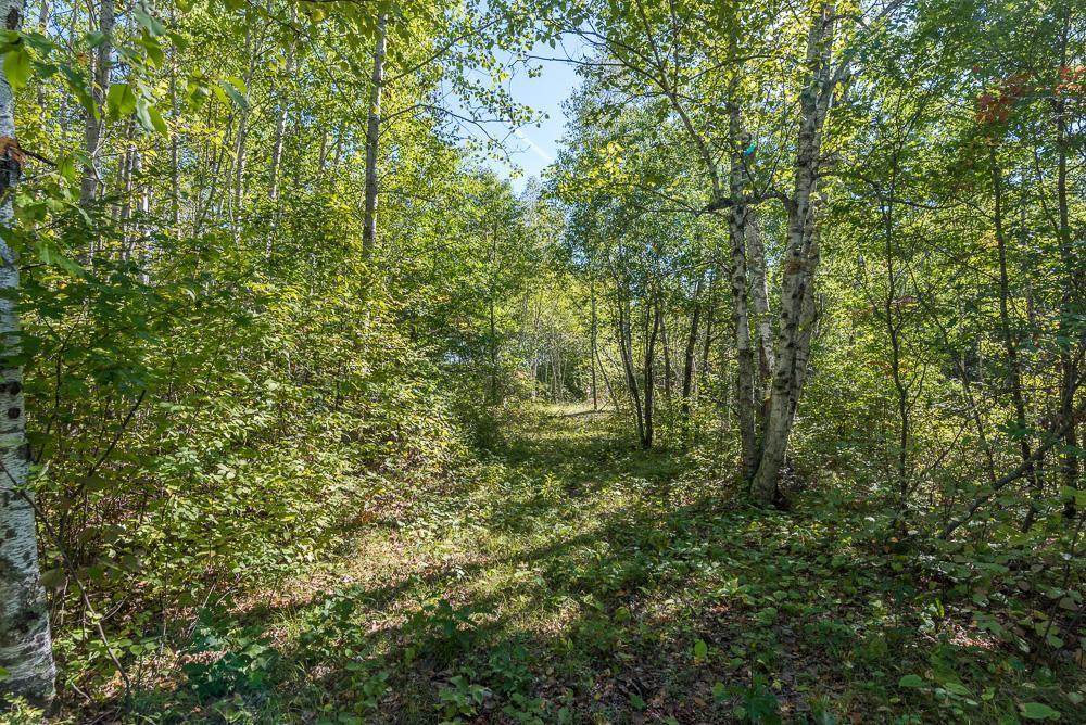 TBD Tract D Little Pine Road - Photo 1