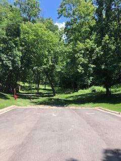 TBD Saratoga Street - Photo 1