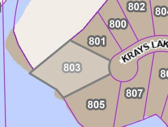 803 Krays Lake Road - Photo 1