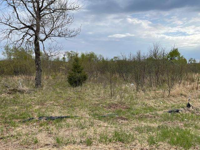 35 Spartan Circle Drive - Photo 1