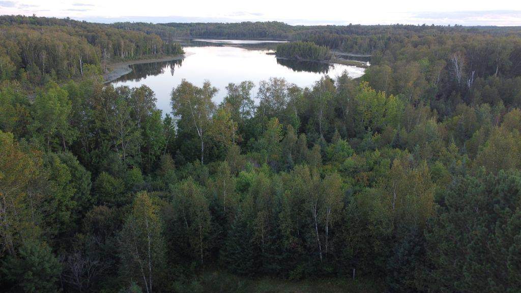 Parcel B Gunn Lake Trail - Photo 1