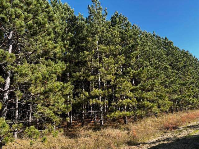 xxx Emerald Court - Photo 1