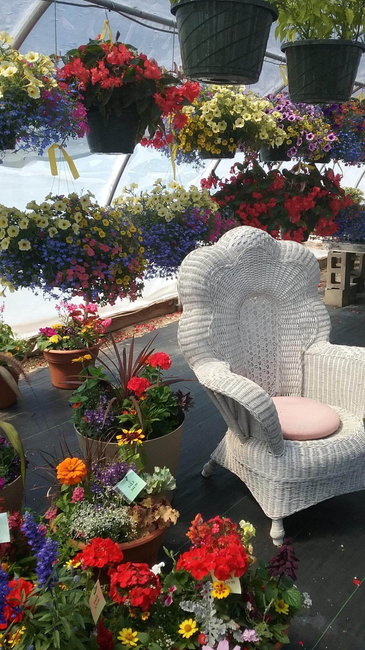 https://bt-photos.global.ssl.fastly.net/northstar/orig_boomver_1_6810041-2.jpg