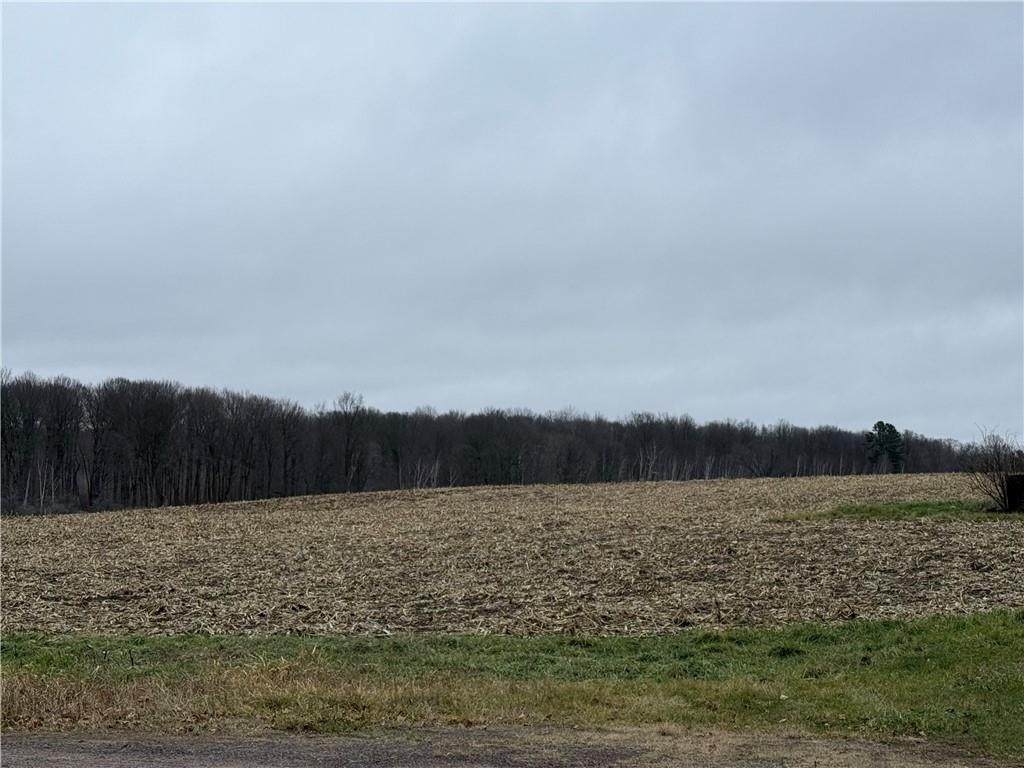 Lot 1 County Hwy D - Photo 1