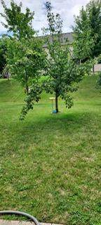 948 Southern Ridge Drive - Photo 34