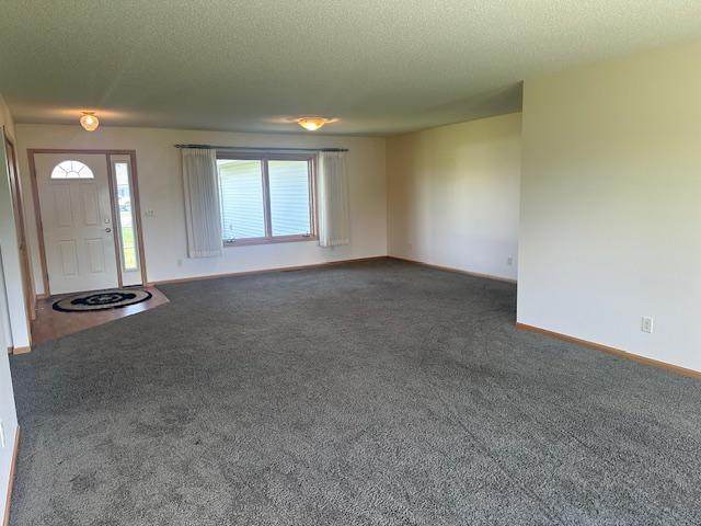 3009 Blue Spruce Lane - Photo 1