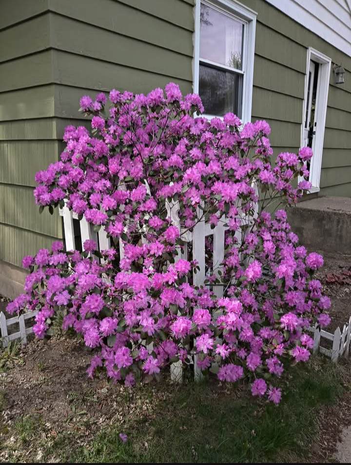 https://bt-photos.global.ssl.fastly.net/northstar/1280_boomver_1_7106497-2.jpg