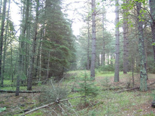 Lot3 Blk 1 Falling Leaf Trail - Photo 1