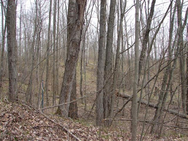 Lot 6 Heath Rd - Photo 1