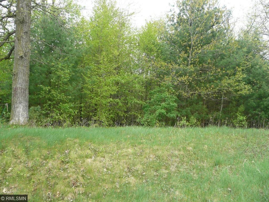 Lot 13 106th Avenue - Photo 1