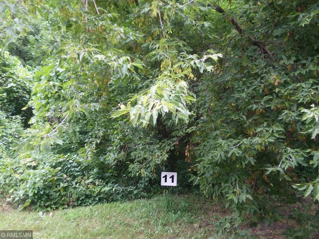 Lot 11 185th Avenue - Photo 1