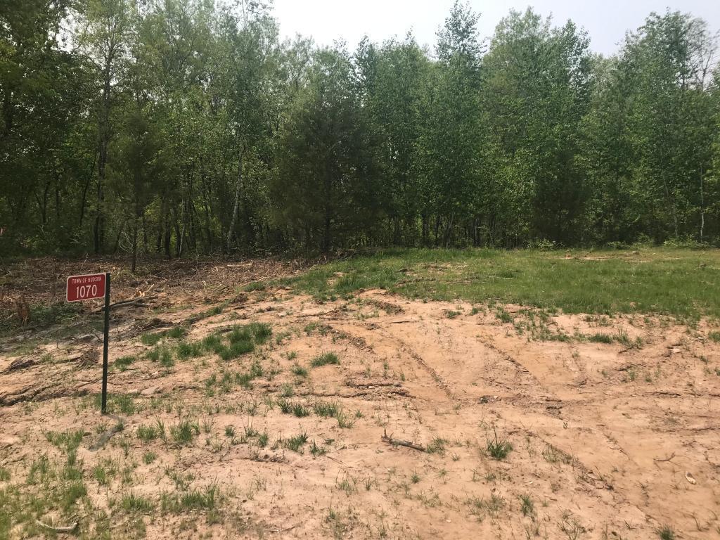 1070(Lot17) Autumn Oak Lane - Photo 1