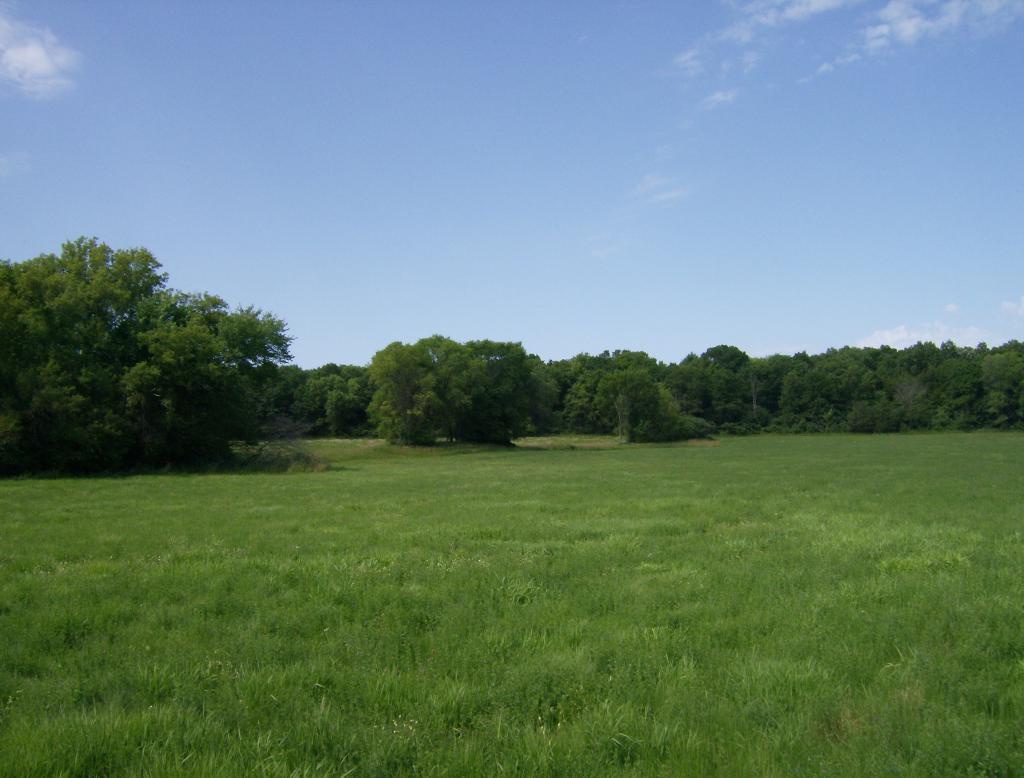 XX Co Rd 5 - Photo 1