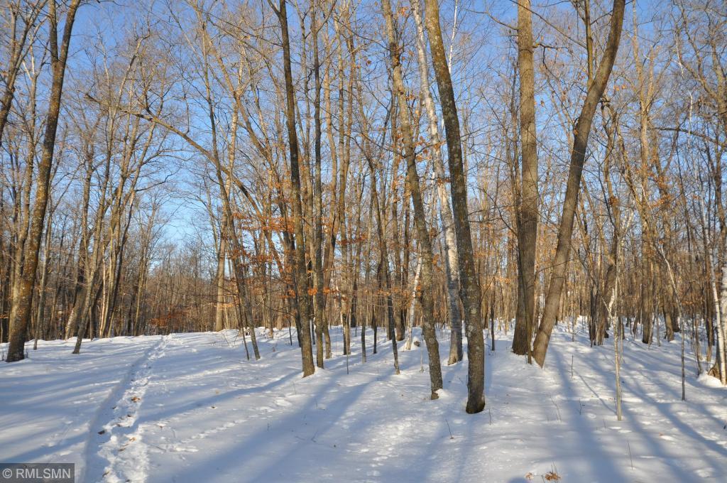 XXX White Birch Road - Photo 1