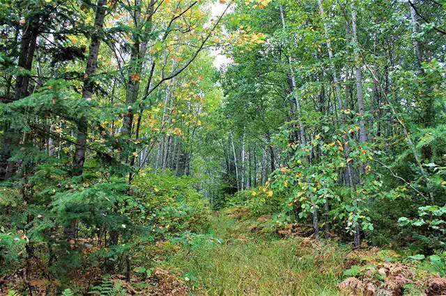 TBD County Road 25 - Photo 1