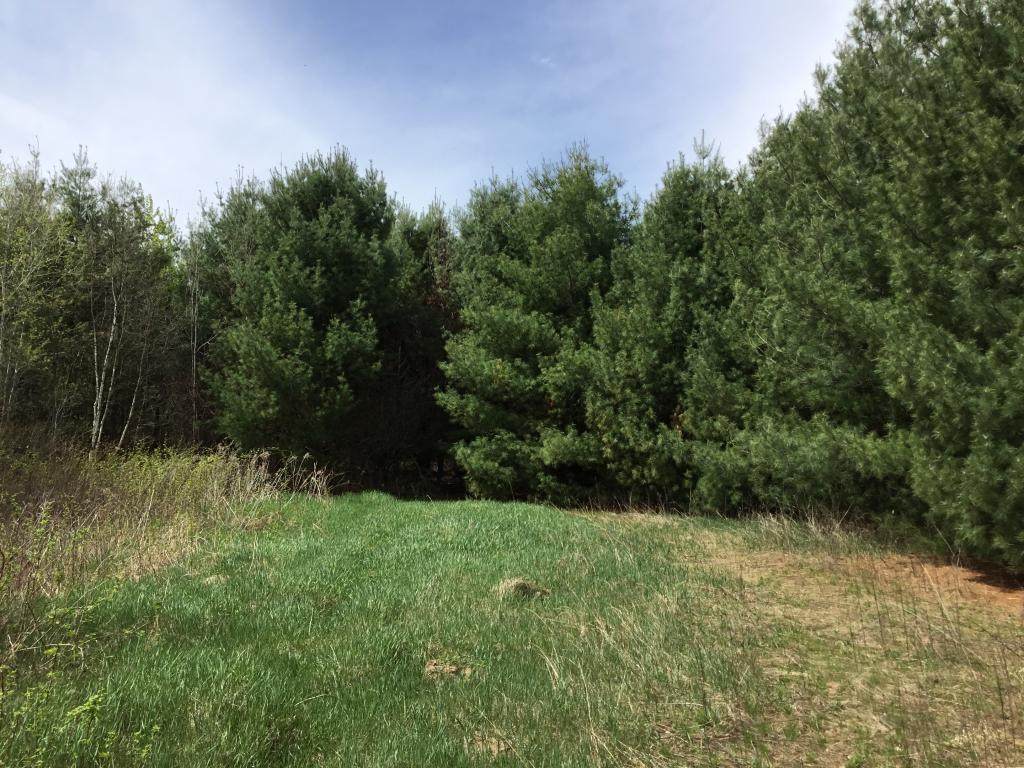 xxx 141st Avenue - Photo 1