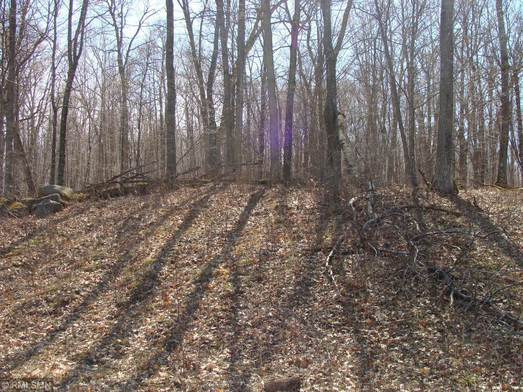 XXX Lot 11 209th Street - Photo 1