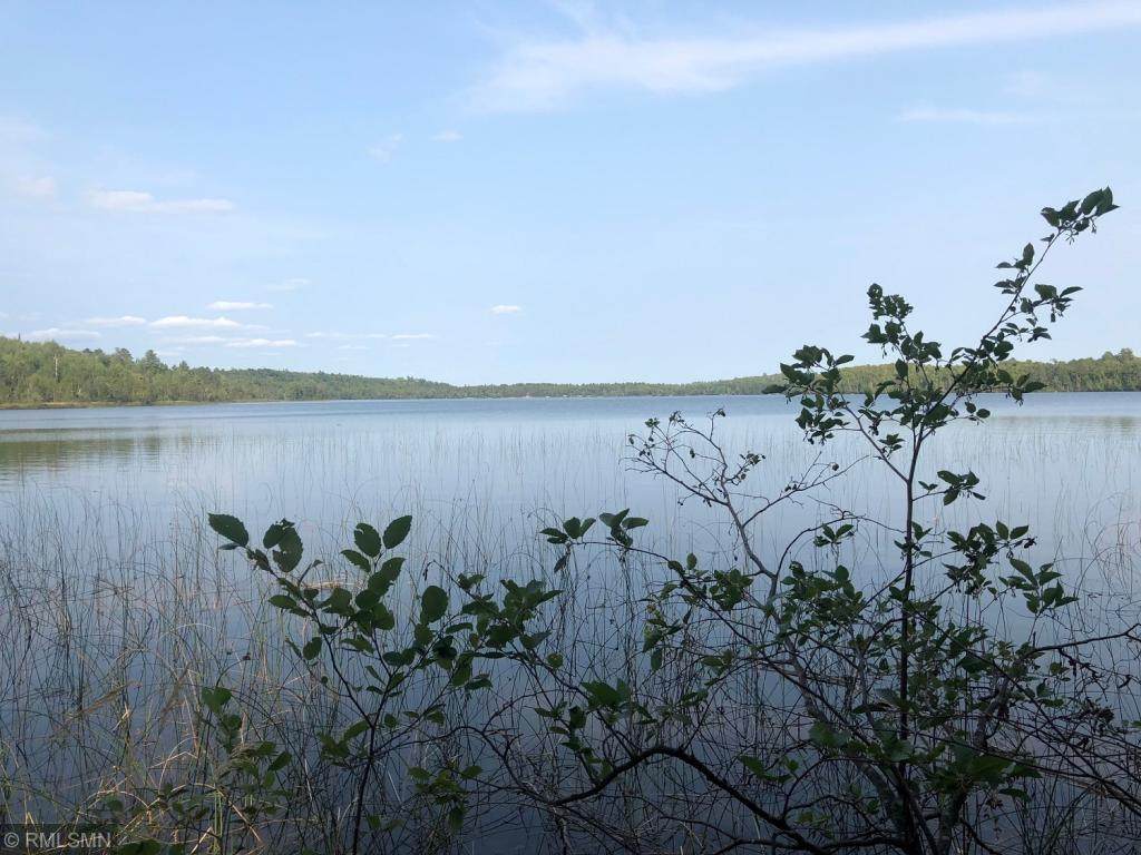 TBD Bear Head State Park Rd - Photo 1