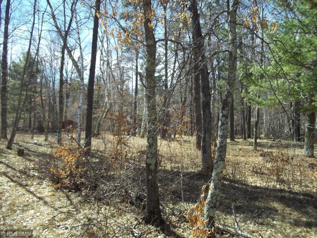 XXX Orchid Lot 97 - Photo 1