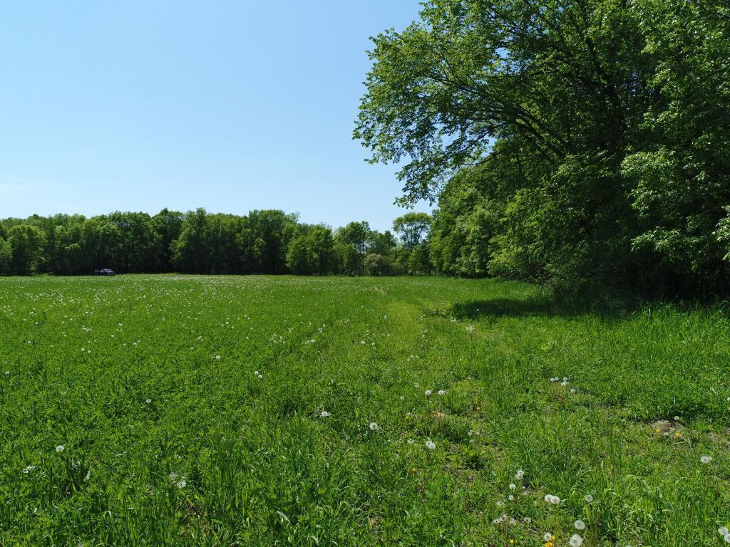 XXX 60th Ave (73.49 Ac) - Photo 1