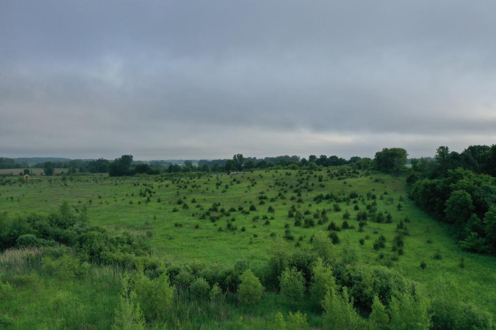 #L3B3 165th Avenue - Photo 1