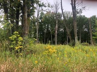 Lot 40 Sunflower Way - Photo 1