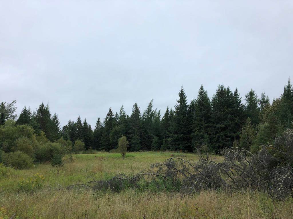 2149 Schweiger Road - Photo 1