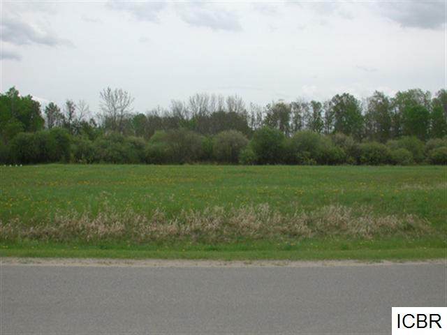 TBD Tamarack Ln - Photo 1