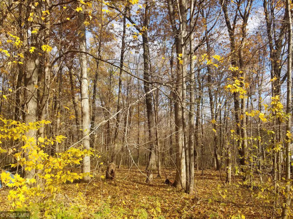 Lot 3 195th Street - Photo 1