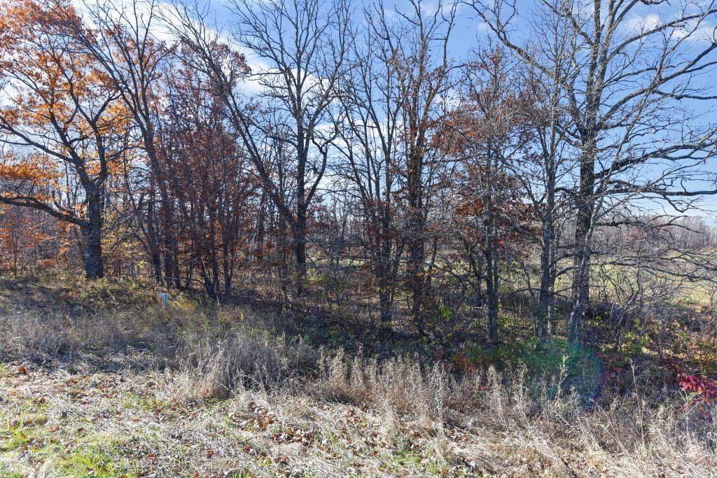 TBD Azalea Road - Photo 1