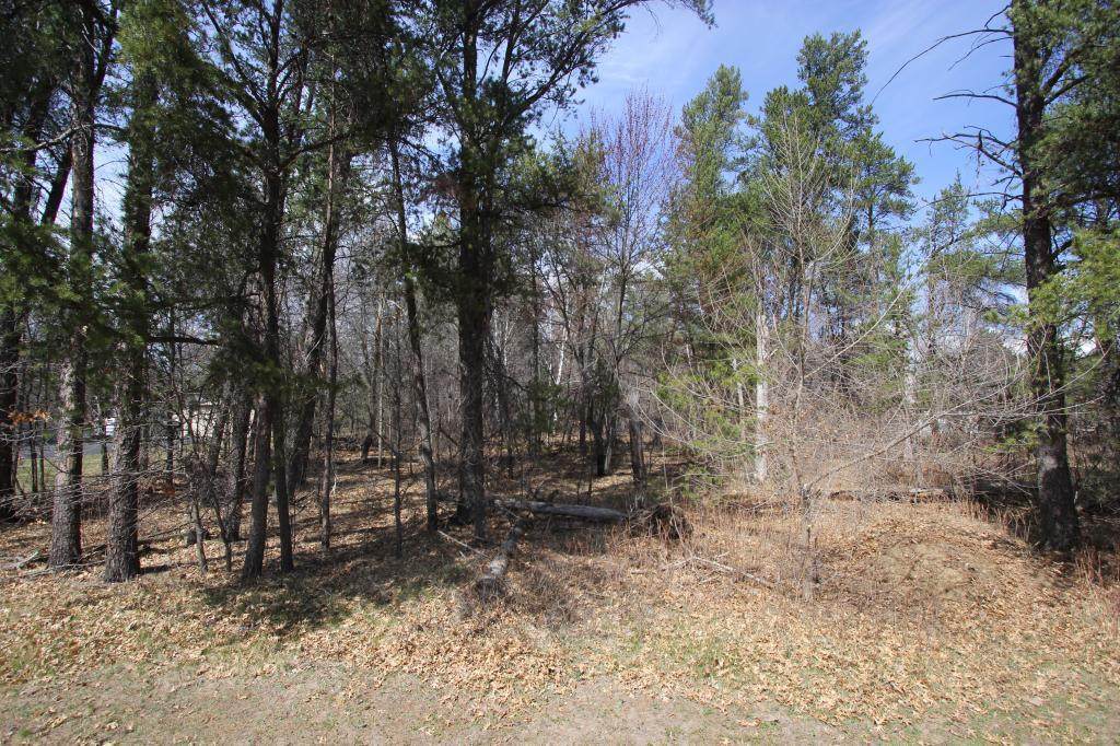 XXX Dahlin Road - Photo 1