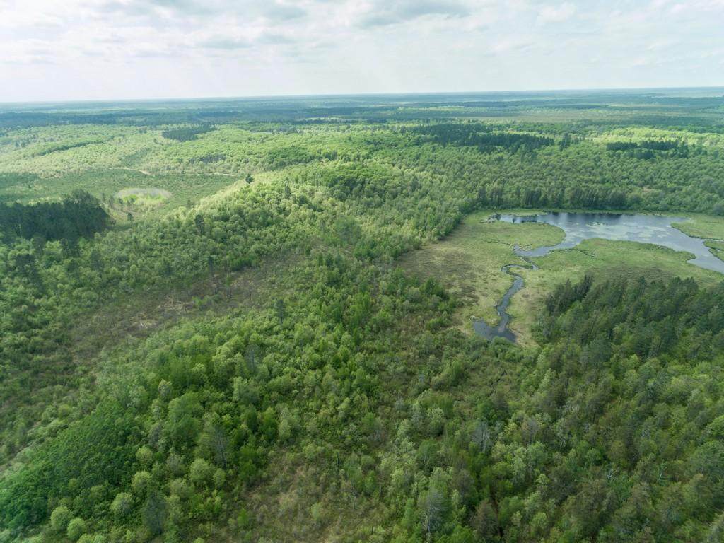 xxx Namekagon Trail - Photo 1