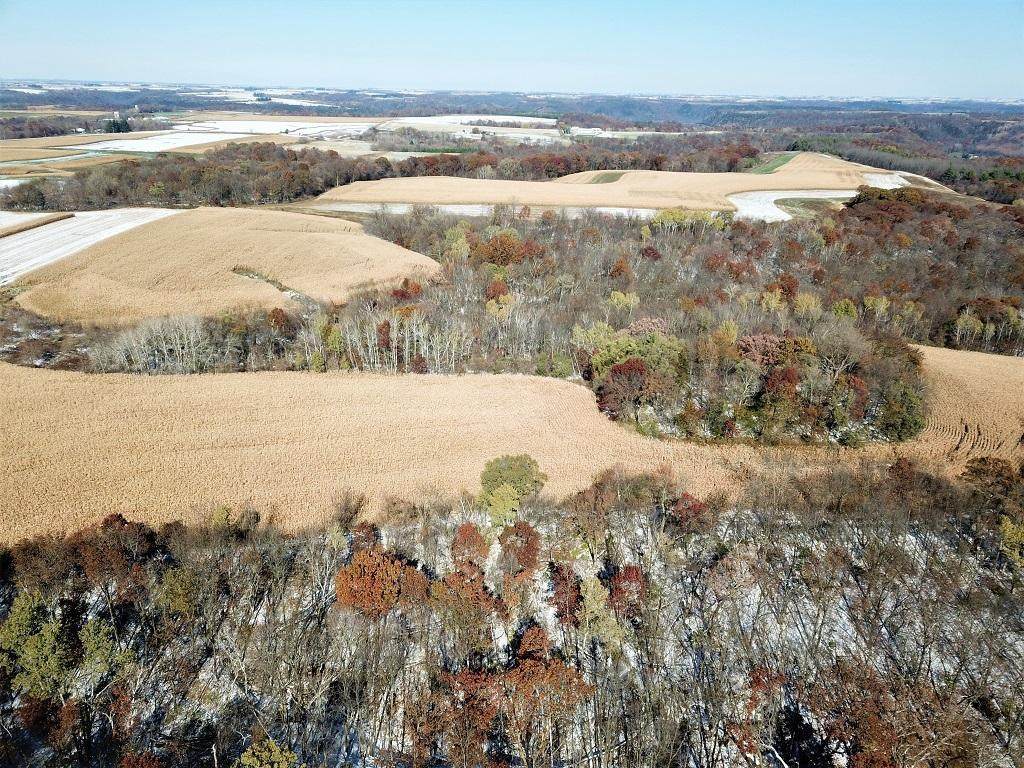 TBD County Road 25 - Photo 1