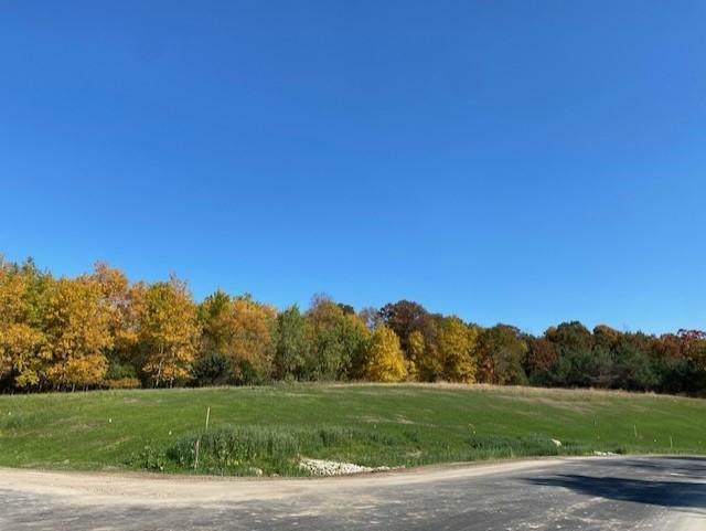 xxxx Edenmore Drive - Photo 1