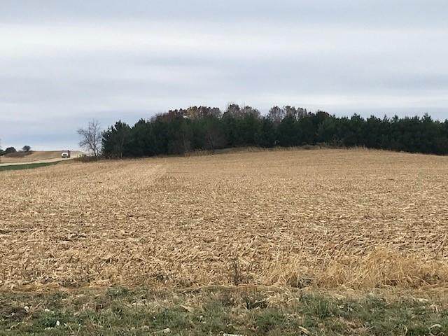 TBD New Haven (Site 18) Road - Photo 1