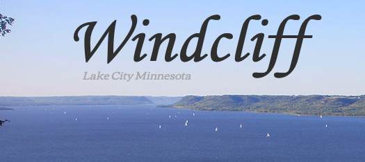 xxx Windcliff Place - Photo 1