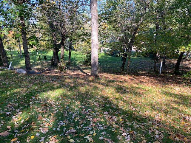XXX Basswood Trail - Photo 1
