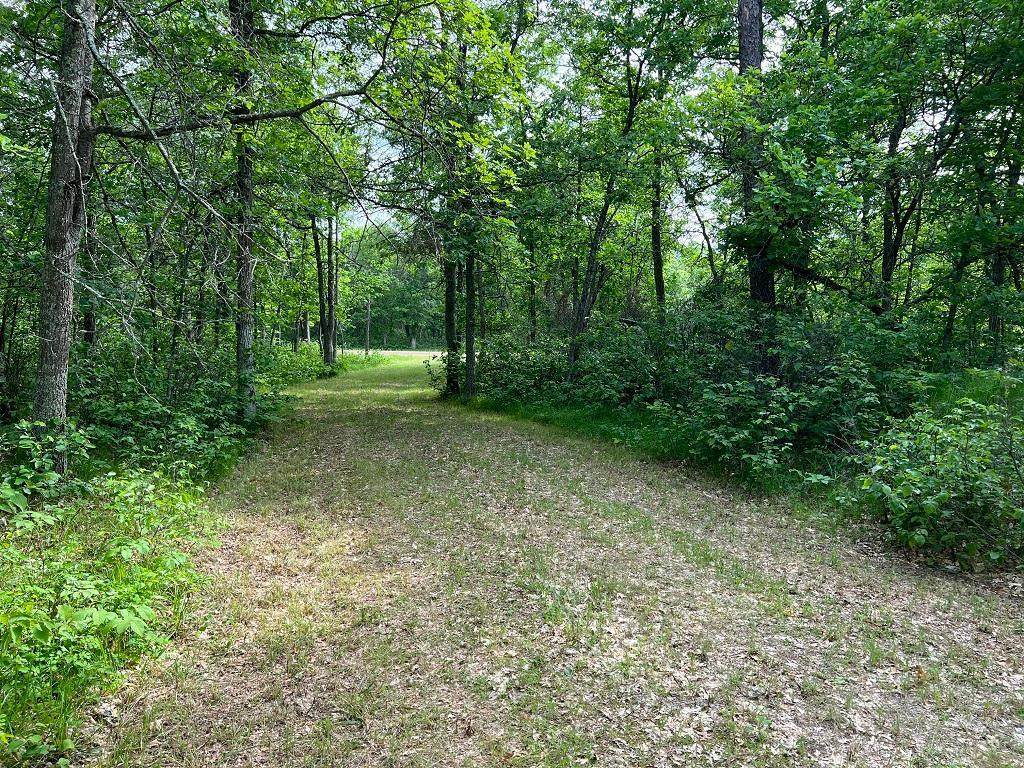 TBD Creel Drive - Photo 1