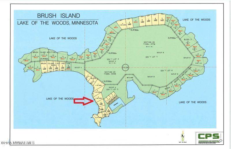 Tract 3 Brush Island - Photo 1