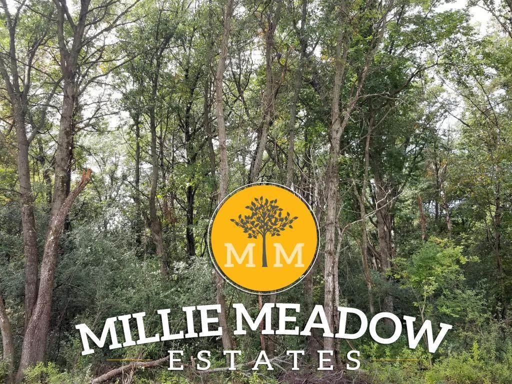 4009 Millie Meadow Drive - Photo 1