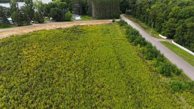 Parcel B Island View Drive - Photo 1