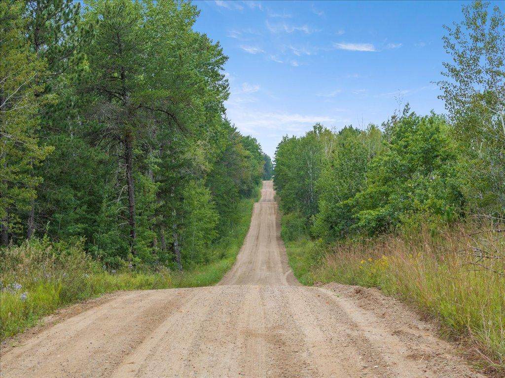 TBD 290th Street - Photo 1